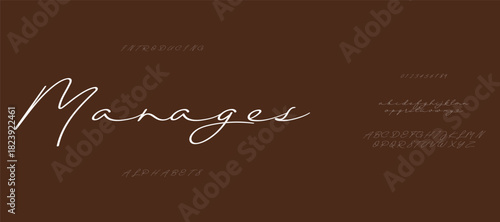 Elegant Font Uppercase Lowercase and Number. Classic Lettering Minimal Fashion Designs. Typography modern serif fonts regular decorative vintage concept. vector illustration