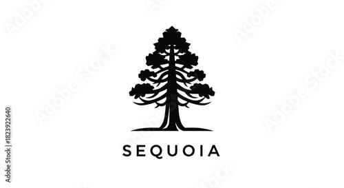 Sequoia Tree Minimalist Logo Black and White