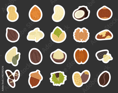 Healthy nut set in scandinavian style, peanut, almond, cashew, coconut, hazelnut, pistachio, nutlet, pumpkin seed, nutmeg, pecan, sunflower seed, acorn, chestnut, coffee bean