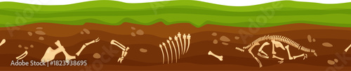 Dinosaur bones buried in ground showing paleontology