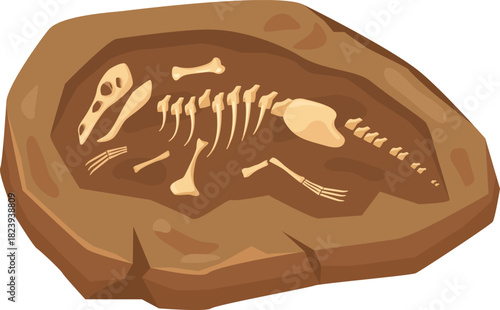 Dinosaur skeleton fossil embedded in rock