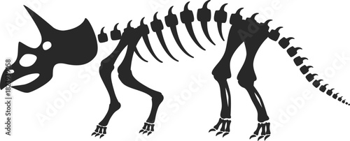Triceratops dinosaur skeleton exhibiting prehistoric fossil remains