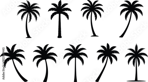 Set of palm tree silhouettes, black tropical vector icons, summer coconut trees for beach, island, nature, travel, and vacation illustrations.
