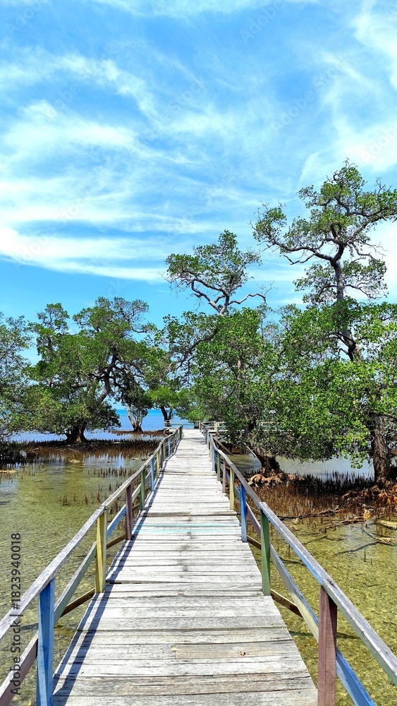 Obraz premium wooden bridge over the mangrove beach