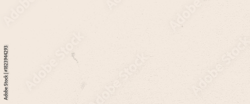 Grey grain texture wall. Rice paper. Neutral tone background with noise and speckles. Pale egg shell backdrop. Natural ecru creamy canvas. Vector beige grunge textured illustration. Recycle washi bg.