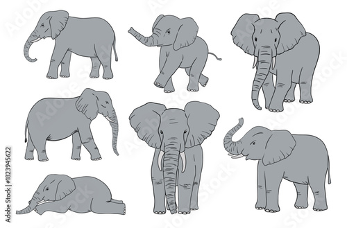 Elephant isolated on white background. African animals set.