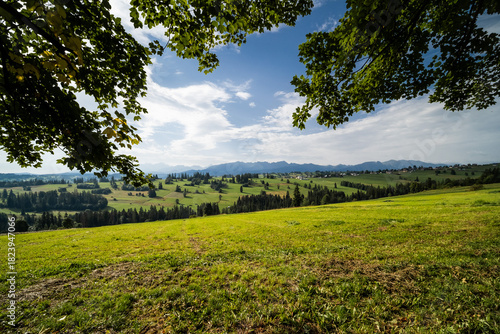 Fototapeta Naklejka Na Ścianę i Meble -  Close-up of grass and tree leaves framing a vast scenic view of the Tatra Mountains from the Sierockie area in Poland. Warm summer light on rolling hills.