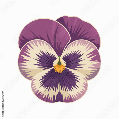 A vibrant illustration of a purple pansy flower with a cream and dark purple center.