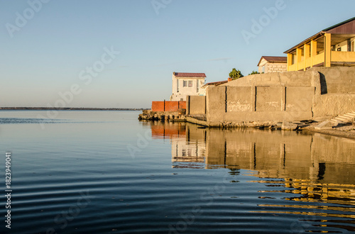 White swans swimming on the horizon of the estuary. Seascape with birds.