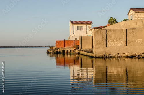 White swans swimming on the horizon of the estuary. Seascape with birds.
