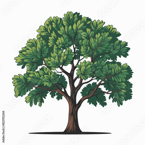 Ironwood Tree Vector Outline | Hardwood Tree Silhouette | Botanical Illustration