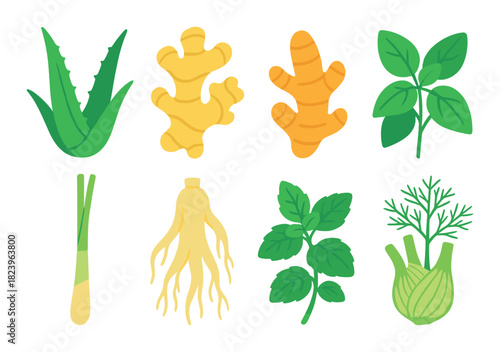 Herbal collection: aloe, ginger, turmeric, basil, lemongrass, ginseng, mint, dill, fennel