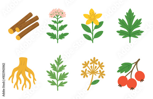 Collection of healing herbs and plants illustration with vibrant colors