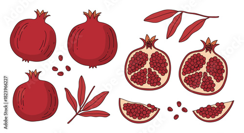Collection of hand-drawn red pomegranate illustrations including whole fruit slices seeds and leaves isolated on a white background.