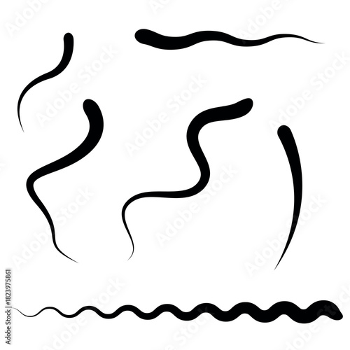 Worms and snakes, spermatozoa, wavy lines. Flat vector illustration isolated on white