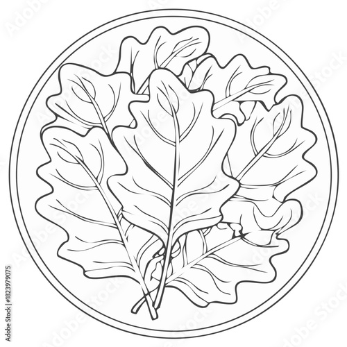 Fresh healthy green salad leaves line art illustration in a round bowl for nutrition and healthy eating concept
