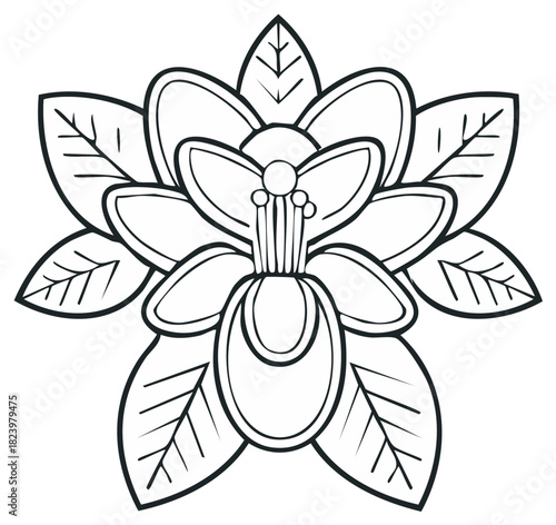 Detailed line art of a stylized orchid flower with symmetrical petals and leaves