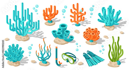 Sea life exploration: coral and marine plants with diving gear for underwater illustration and design