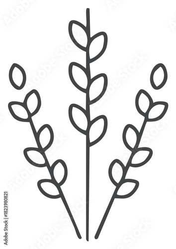 Simple hand drawn pussy willow branches outline icon for spring decoration and floral design