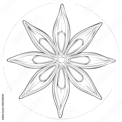 Stylized Star Anise Spice Outline Illustration with Subtle Geometric Accents