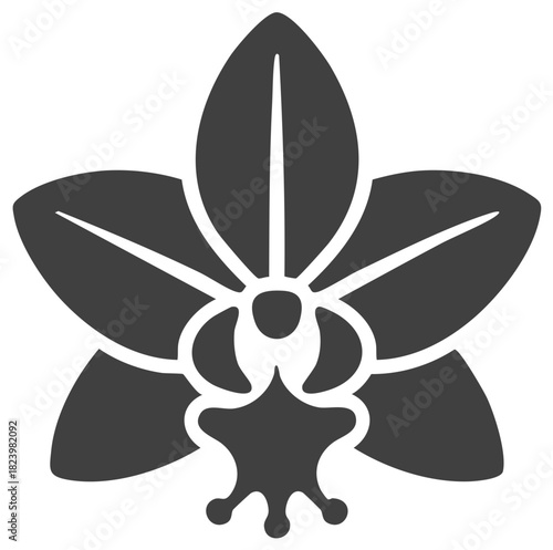 Detailed Orchid Flower Icon with Delicate Petals and Botanical Features