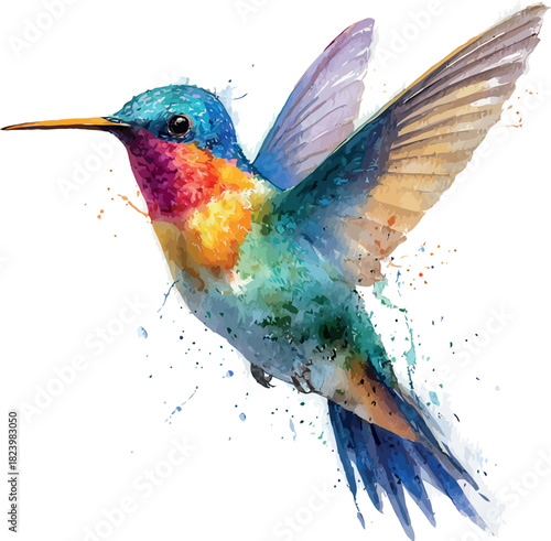 Graceful watercolor illustration of a hummingbird in motion painted with delicate strokes on a clean white background - vector illustration