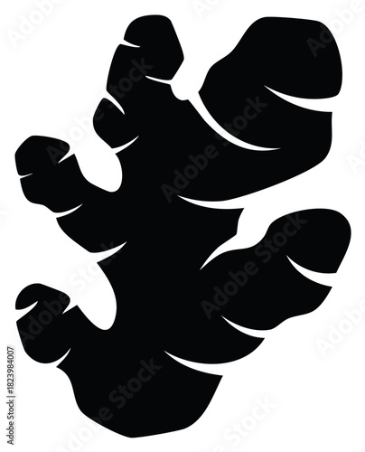 Abstract Black Silhouette of a Ginger Root for Healthy Food Designs and Natural Health