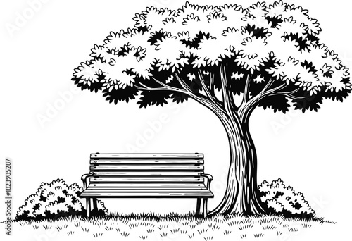 Park bench sits beneath a large tree providing shade in a peaceful scene