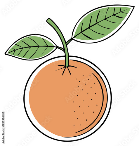 Illustration of an Orange Fruit with Leaves