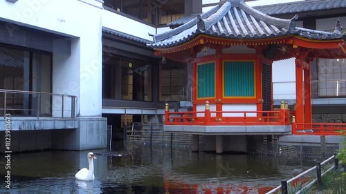 京都、六角堂境内の太子堂の池と白鳥