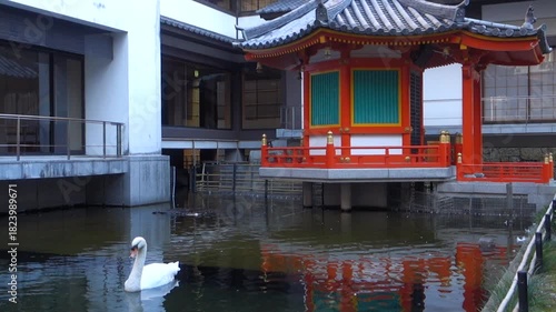 京都、六角堂境内の太子堂の池と白鳥