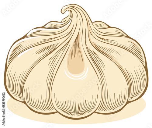 Detailed vector illustration of a whole garlic bulb with a classic hand-drawn etching style