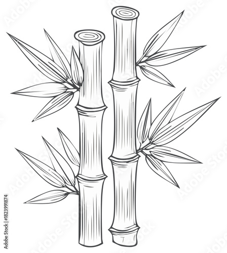 black and white bamboo stalks and leaves clip art preview