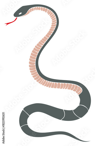 Stylized Snake Serpent Vector Illustration with Red Tongue Emerging Threat Dangerous Reptile Graphic Design for Print and Digital Mediums