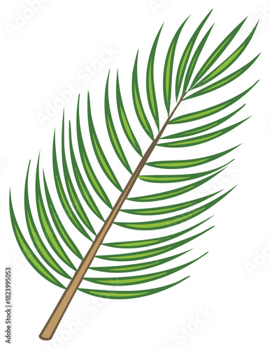 Stylized green palm frond with a brown stem against a white background