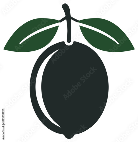 Stylized Dark Citrus Fruit with Green Leaves and Stem Graphic