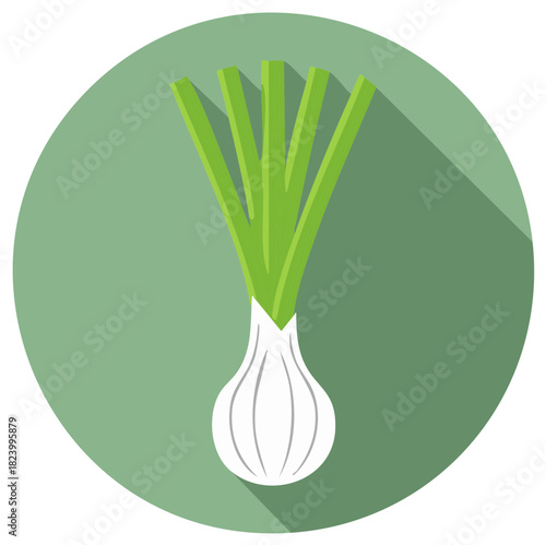 Stylized onion illustration with green stalks and long shadow on a green circle.