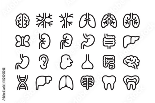 Minimal biological system graphics for healthcare and anatomy learning