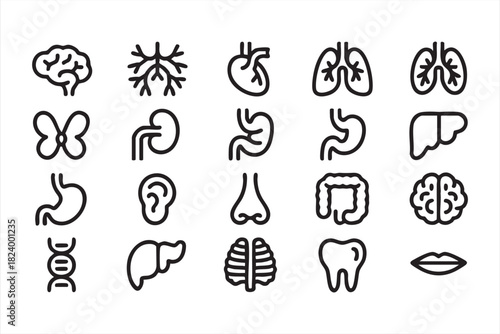 Clean outline digestive, respiratory and neural system icons for anatomy charts