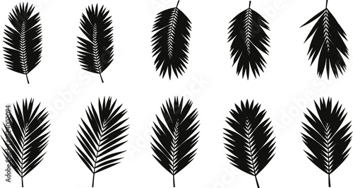 Black palm leaf silhouettes, tropical foliage design, botanical vector art, exotic leaf shapes, nature-inspired graphic elements, minimalist decor assets