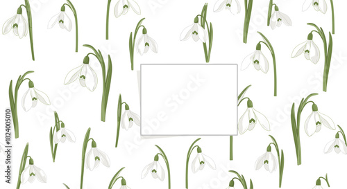Elegant seamless pattern displays delicate white snowdrop flowers and green stems surrounding a blank square frame for text.