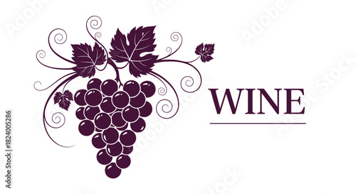 Elegant illustration features a stylized cluster of deep purple grapes with delicate leaves and tendrils accompanied by the word WINE.