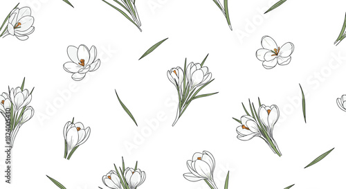 Delicate seamless pattern displays beautiful white crocus flowers with green leaves elegantly rendered in a hand-drawn outline style.