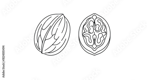 Detailed black and white line art illustration showcasing a whole walnut alongside a perfectly halved one revealing its intricate kernel.