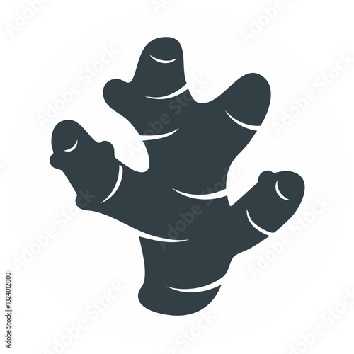 Illustration of a Vector Ginger Root Botanical Silhouette