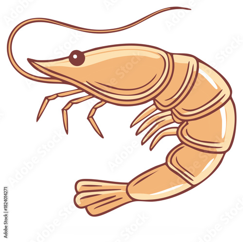 Stylized cartoon shrimp or prawn illustration for seafood menu and marine life design