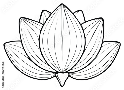 Stylized lotus flower outline drawing with radiating petal lines