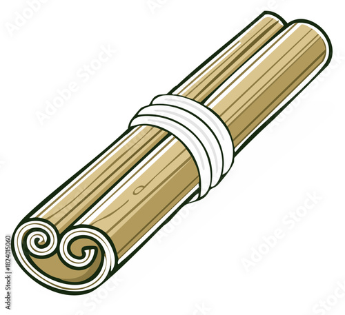 Rolled cinnamon sticks tied with white string, vector illustration.