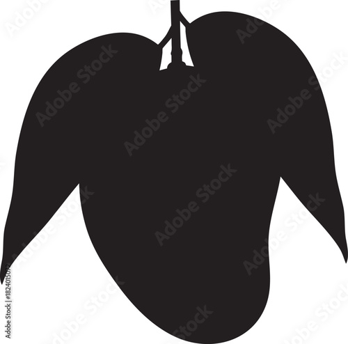 Mango fruit leaves outline icon illustration
