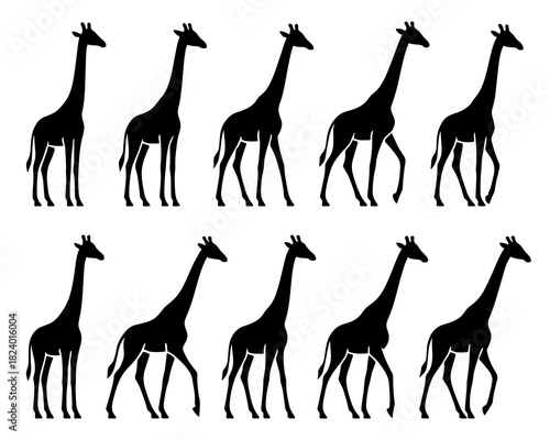 Giraffe silhouettes in standing and walking positions. Clean lines show high quality. The collection focuses on tall posture and gentle movement